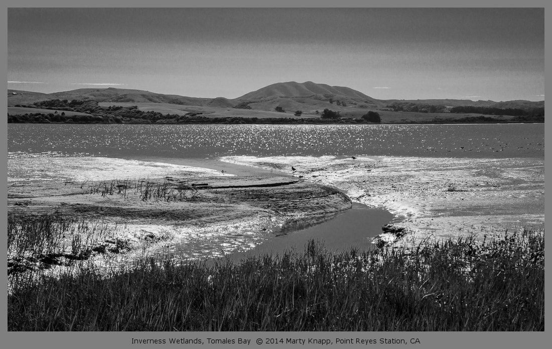 Inverness Wetlands, Tomales Bay